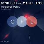 Syntouch and Magic Sense presents Forgotten Words on Club Family Records