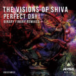 The Visions Of Shiva presents Perfect Day (Binary Finary Remixes) on Rise Recordings