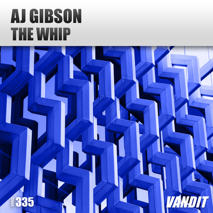 AJ Gibson presents The Whip on Vandit Records