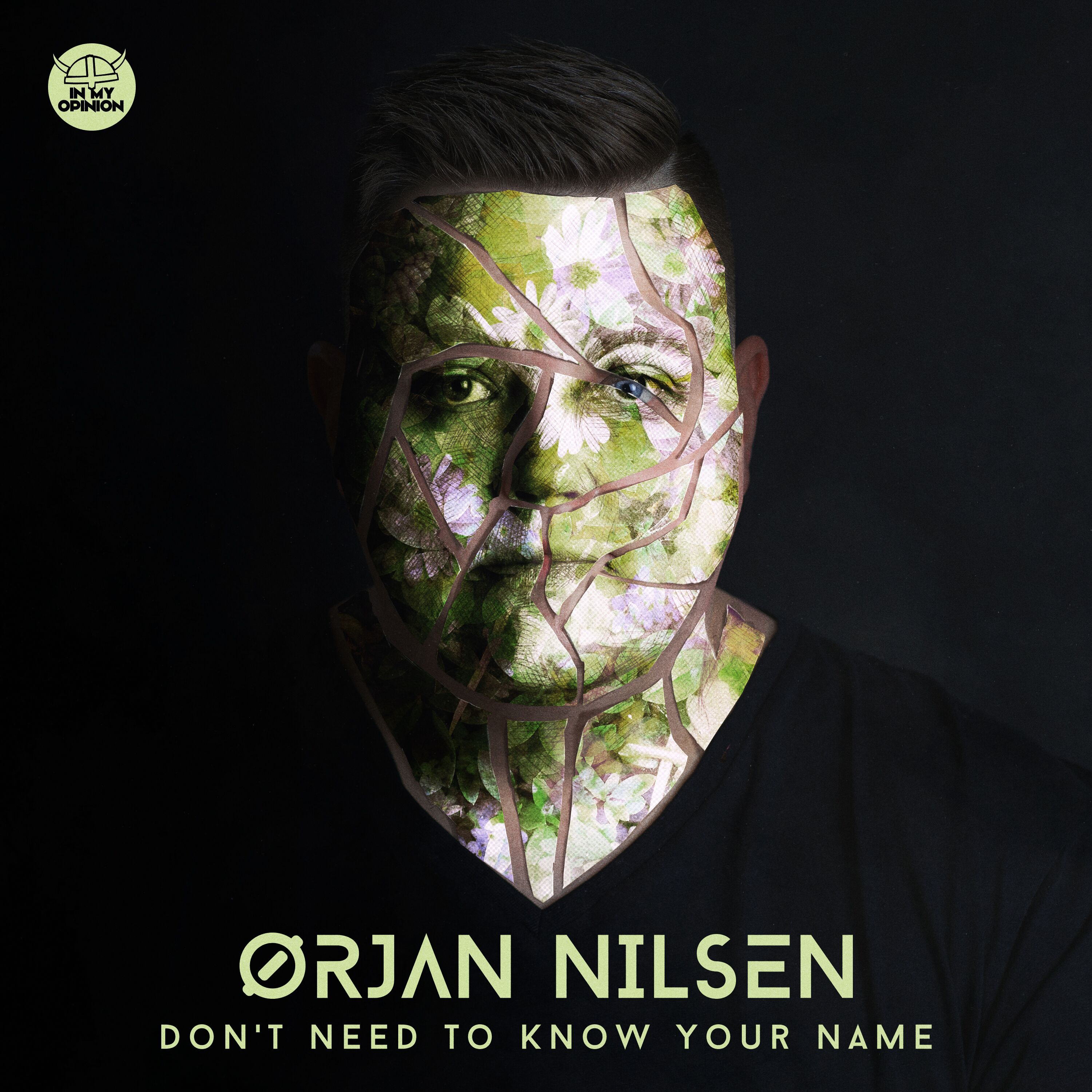 Orjan Nilsen presents Don’t Need To Know Your Name on Armada Music