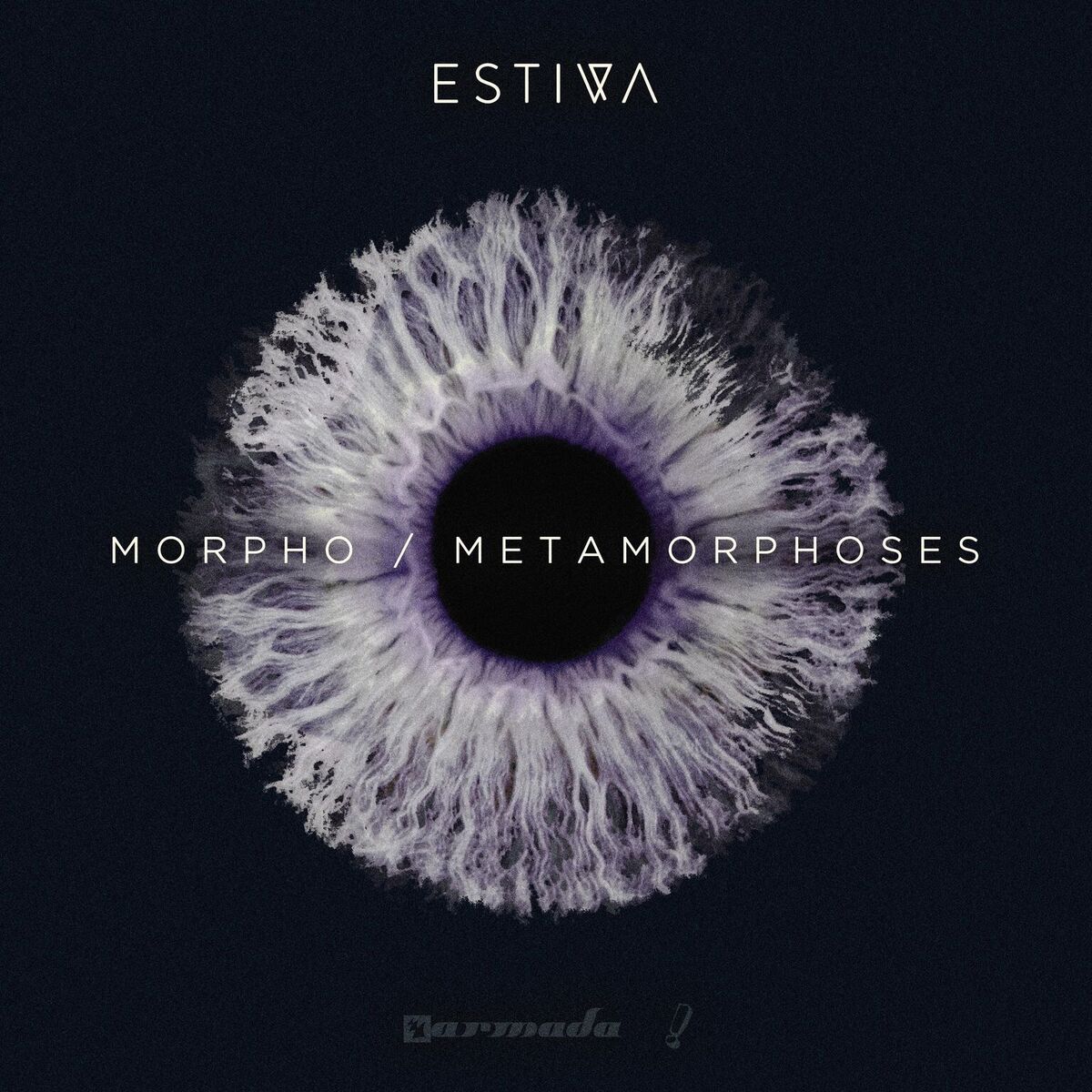 Estiva presents Morpho plus Metamorphoses on Statement!