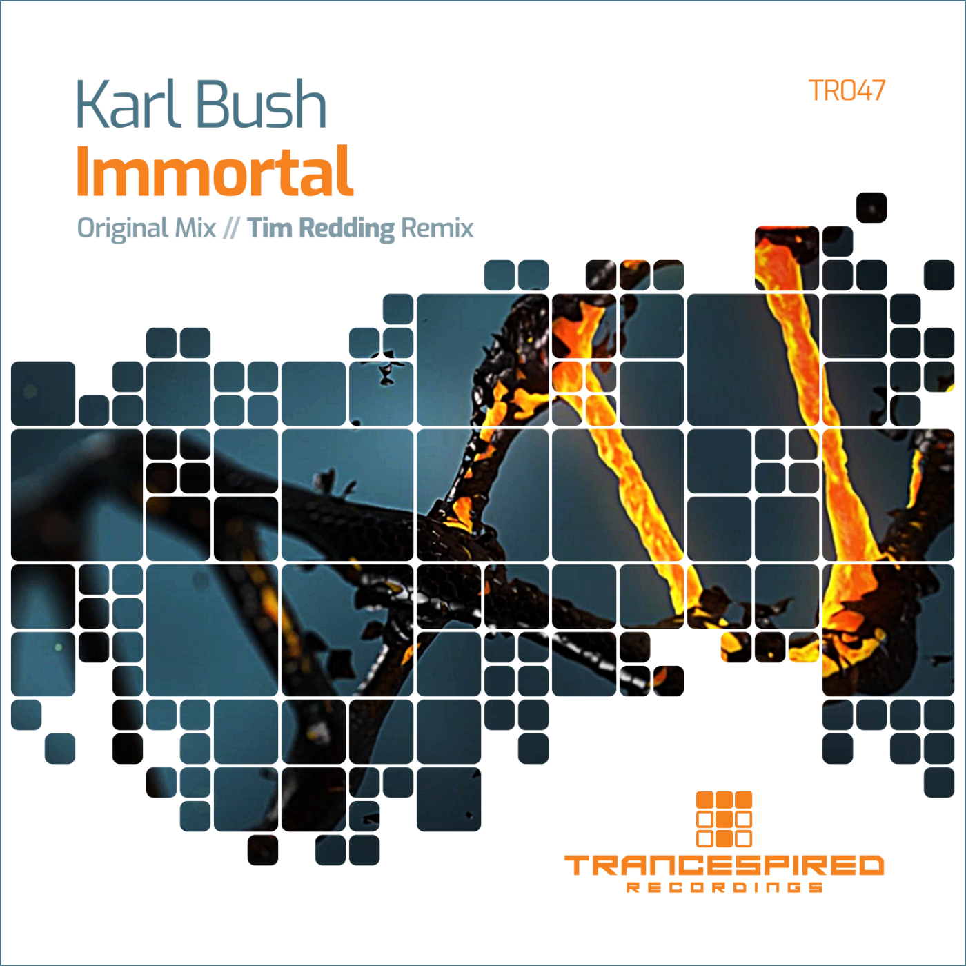 Karl Bush presents Immortal on Trancespired Recordings