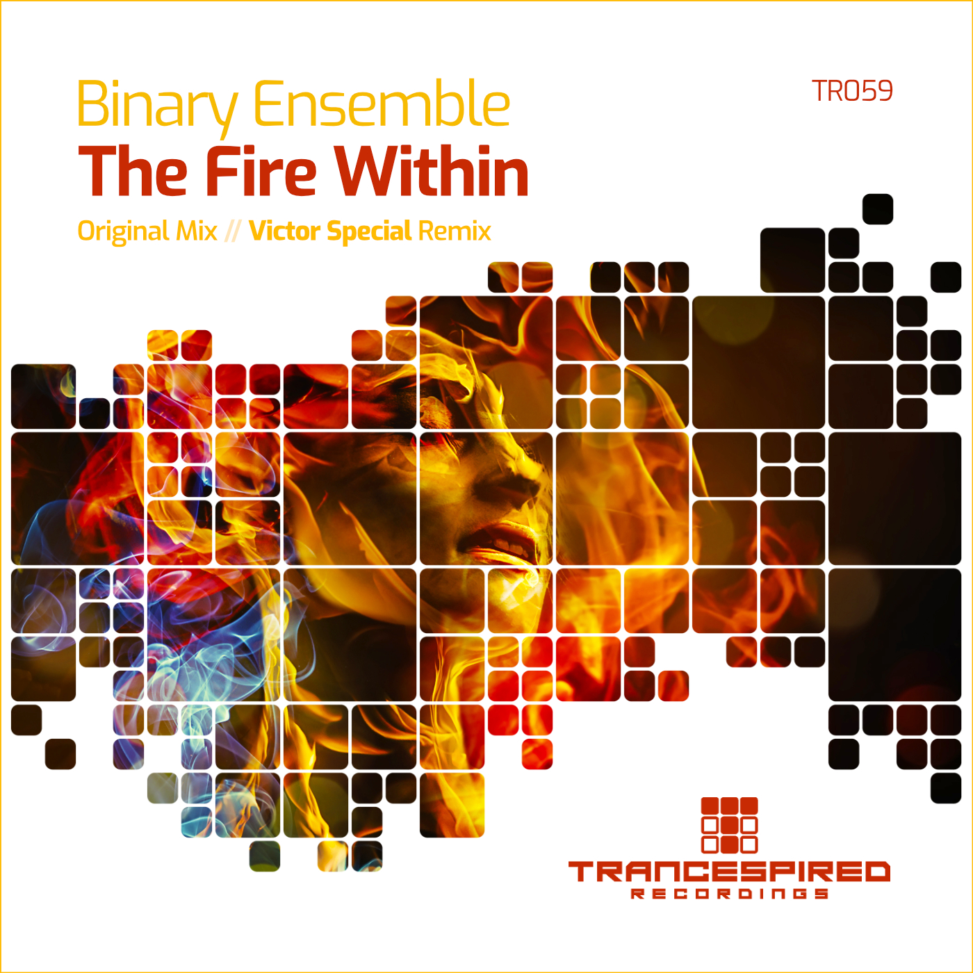 Binary Ensemble presents The Fire Within on Trancespired Recordings