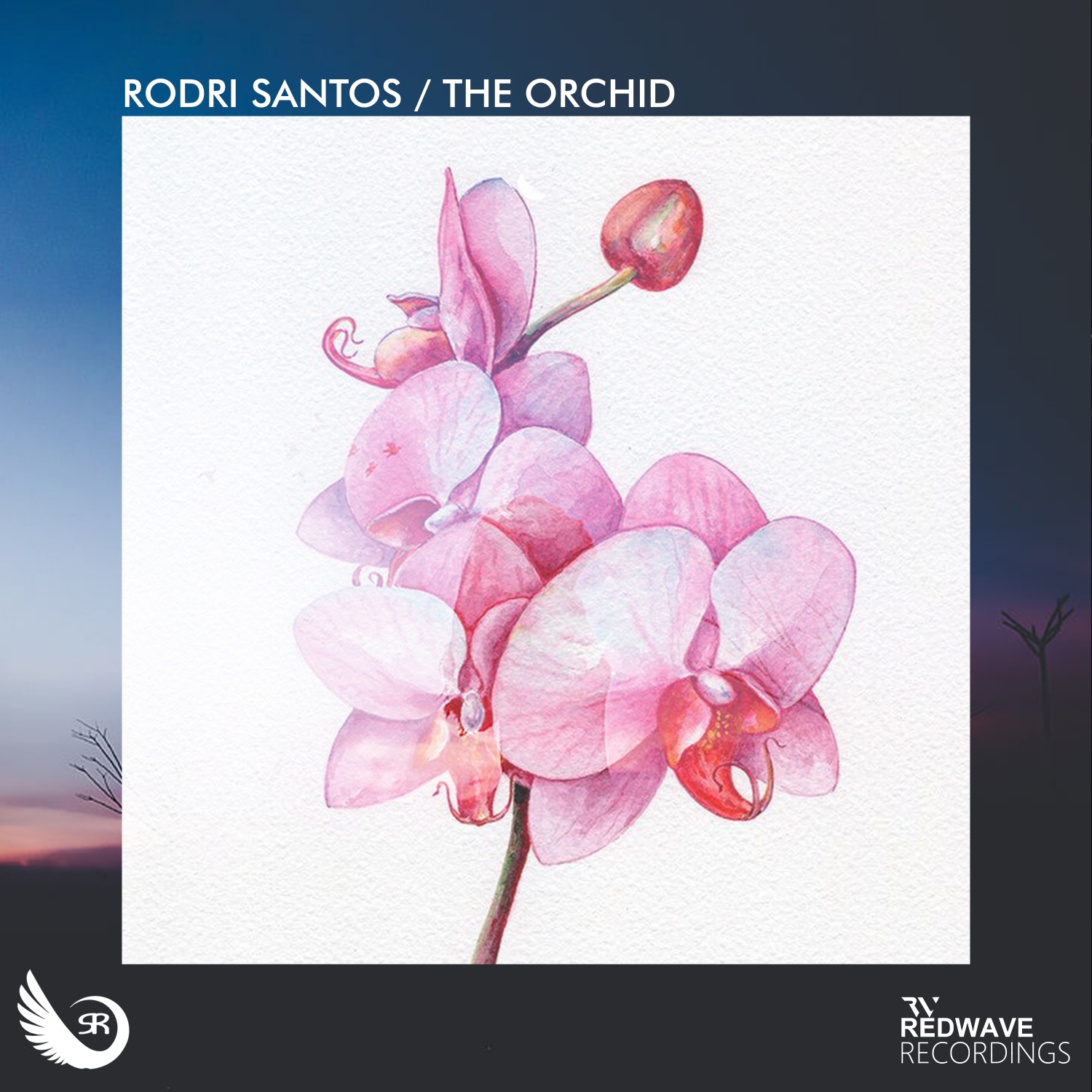 Rodri Santos presents The Orchid on Sahara Recordings