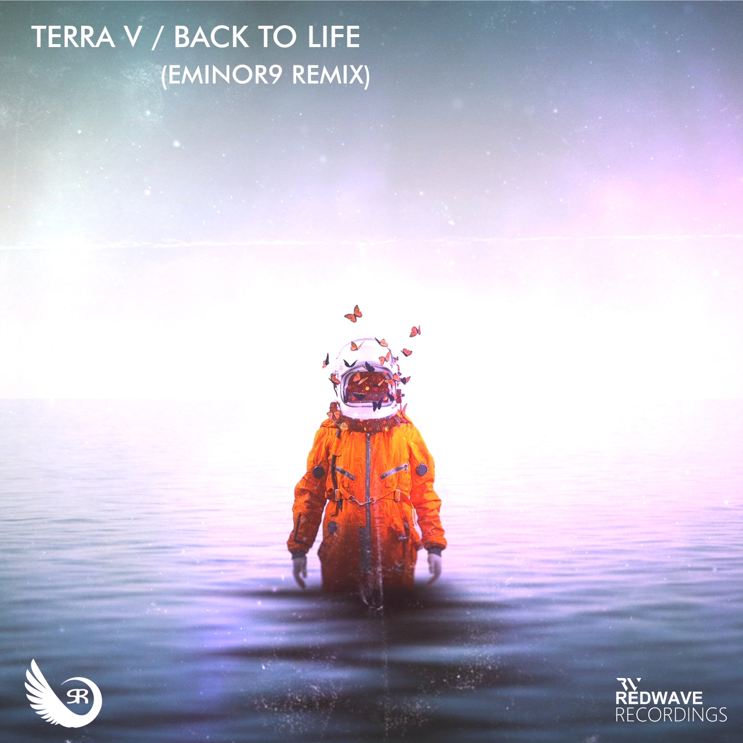 Terra V. presents Back to Life (Eminor9 Remix) on Sahara Recordings