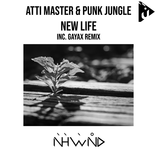 Atti Master and Punk Jungle presents New Life on Nahawand Recordings