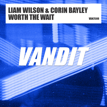 Liam Wilson and Corin Bayley presents Worth The Wait on Vandit Records