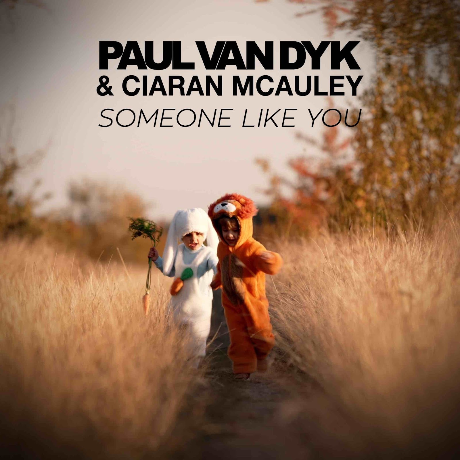 Paul van Dyk and Ciaran McAuley presents Someone Like You on Vandit Records