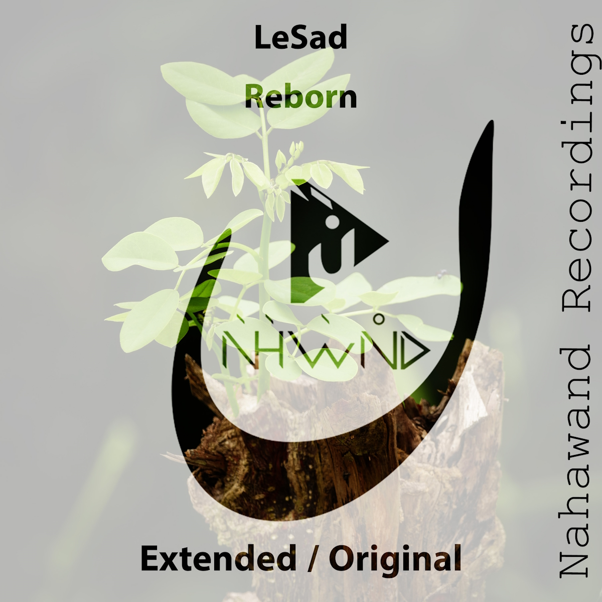 LeSad presents Rebornon on Nahawand Recordings