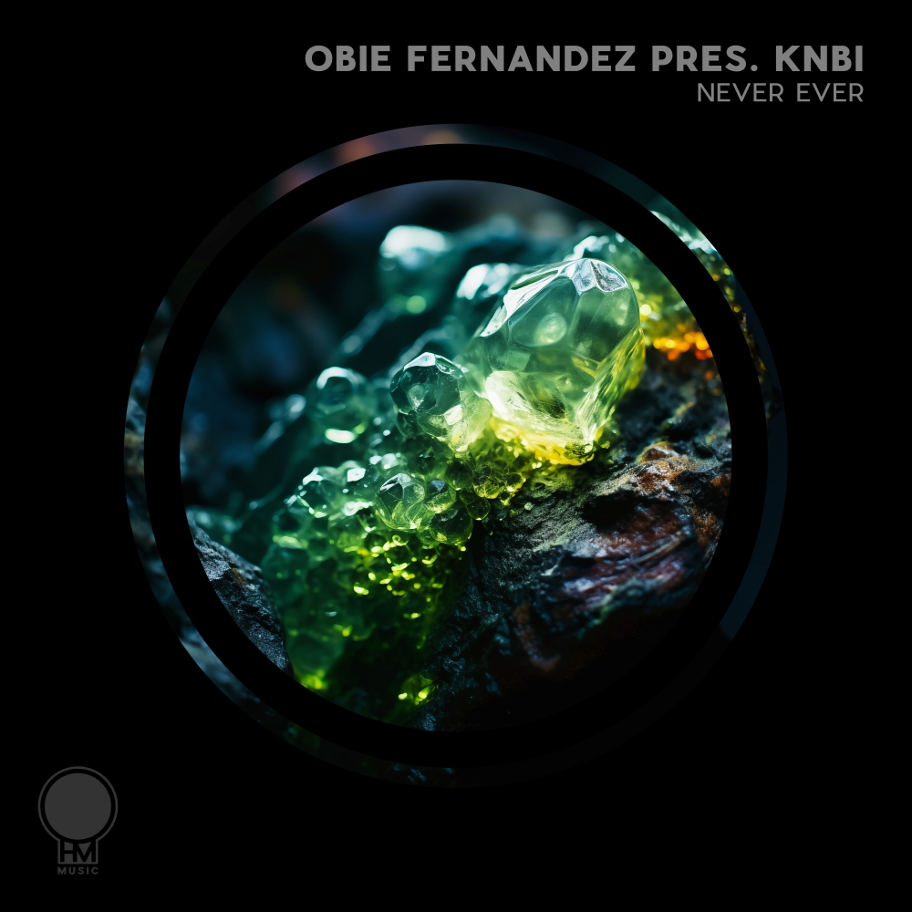 Obie Fernandez pres. KNBI presents Never Ever on OHM Music