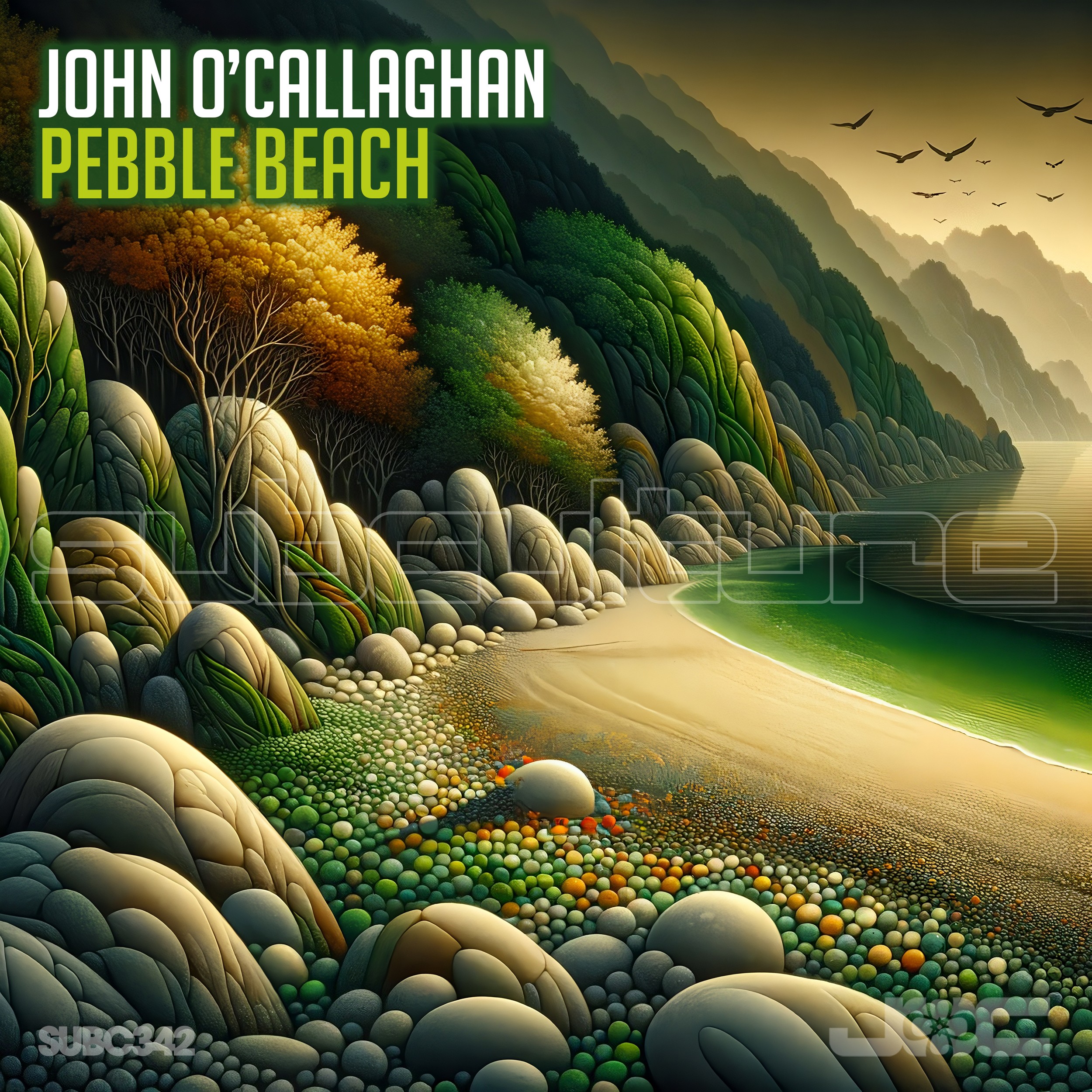 John O'Callaghan presents Pebble Beach on black Hole Recordings