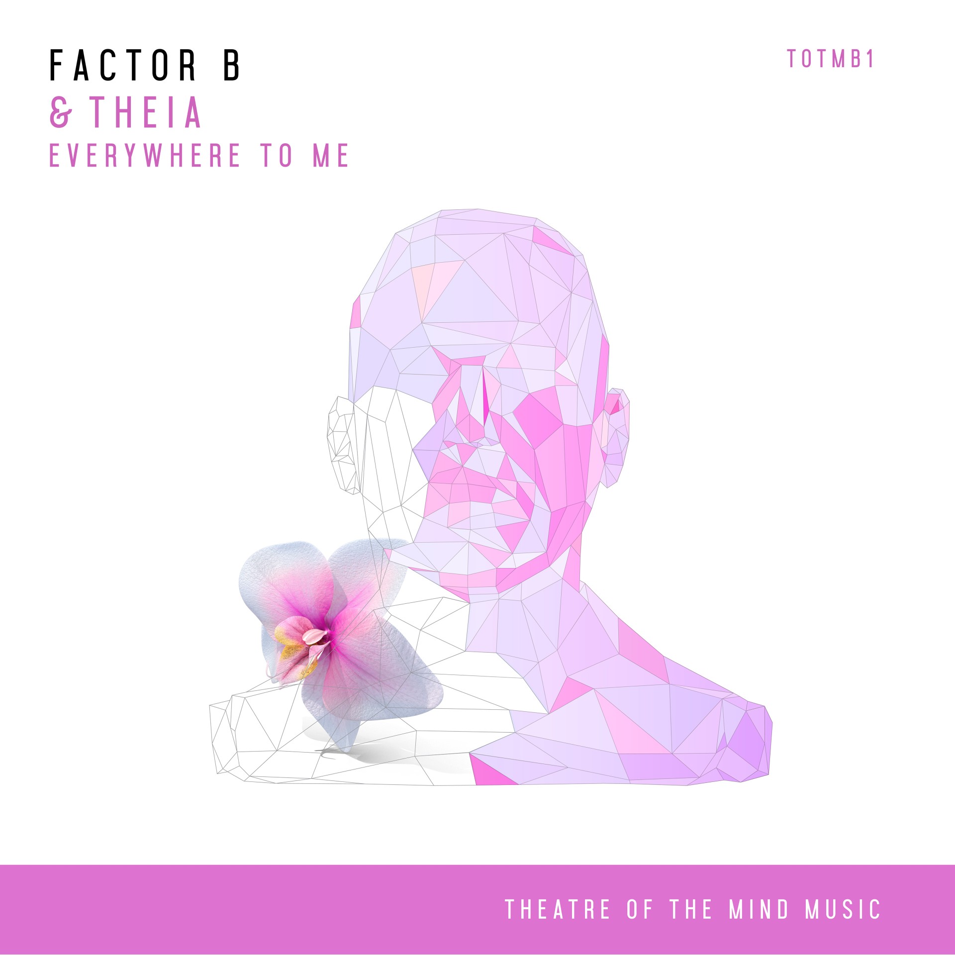 Factor B and Theia presents Everywhere To Me on Black Hole Recordings