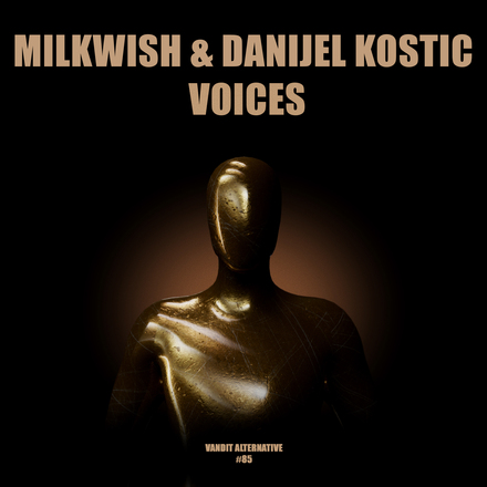 Milkwish and Danijel Kostic presents Voices on Vandit Records