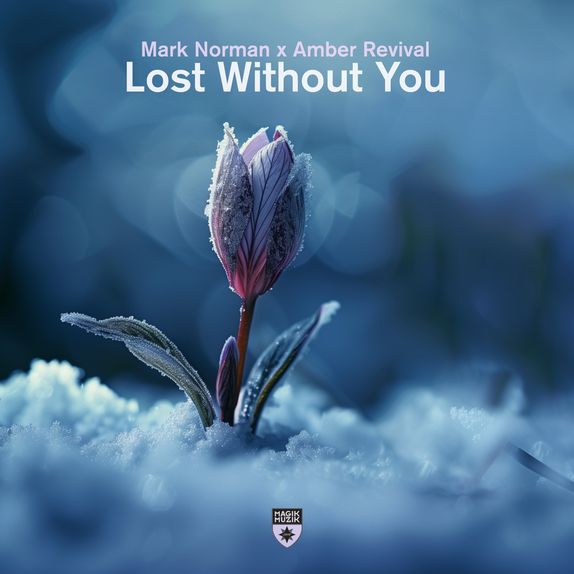 Mark Norman x Amber Revival presents Lost Without You on Black Hole Recordings