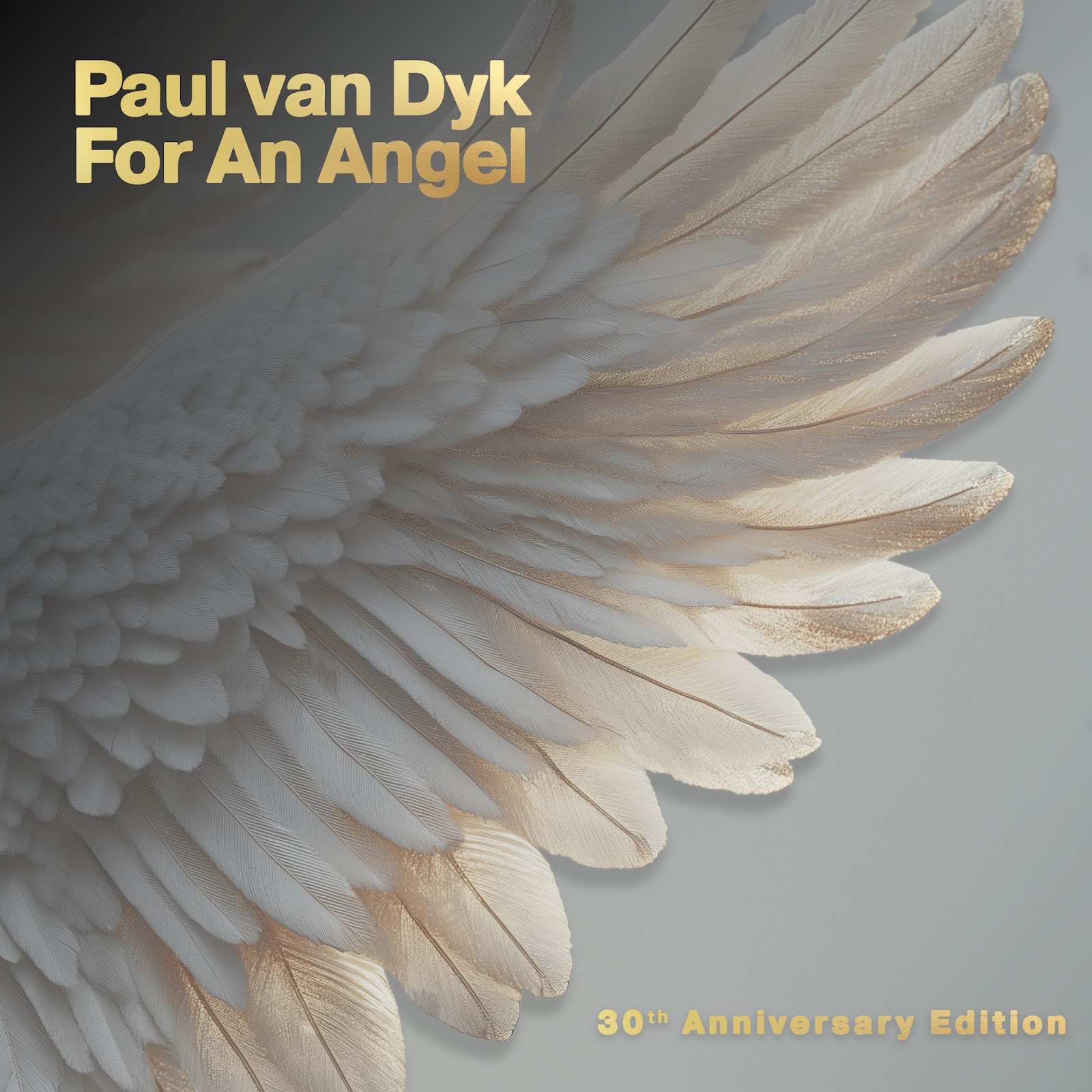 Paul van Dyk presents For An Angel (Remixes) on Vandit Records