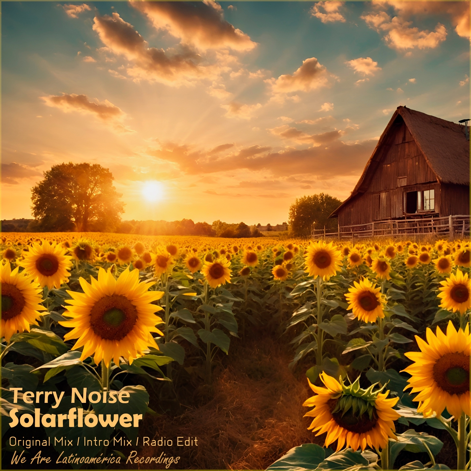 Terry Noise presents Solarflower on We Are Latinoamerica Recordings